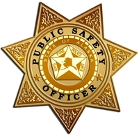 Tlingit and Haida Indian Tribes of Alaska Village Public Safety Program